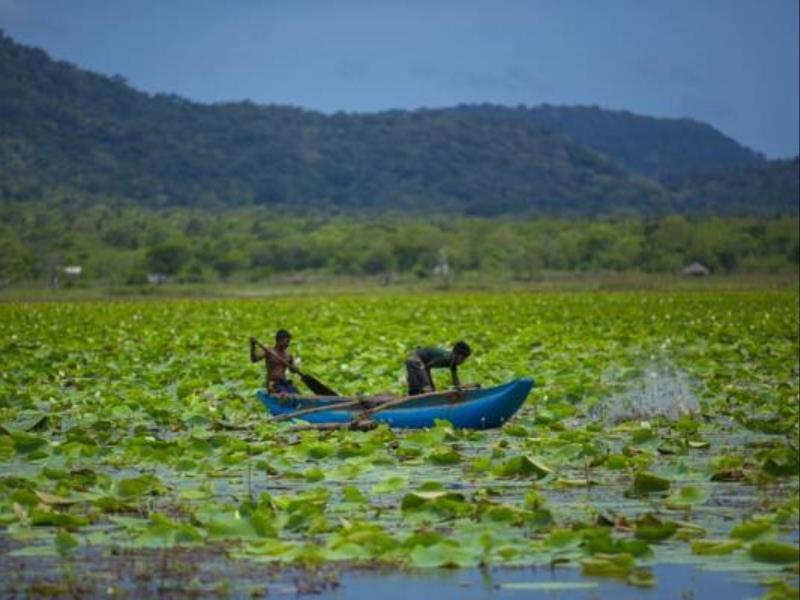 Grand Tamarind Lake Kataragama Exteriör bild